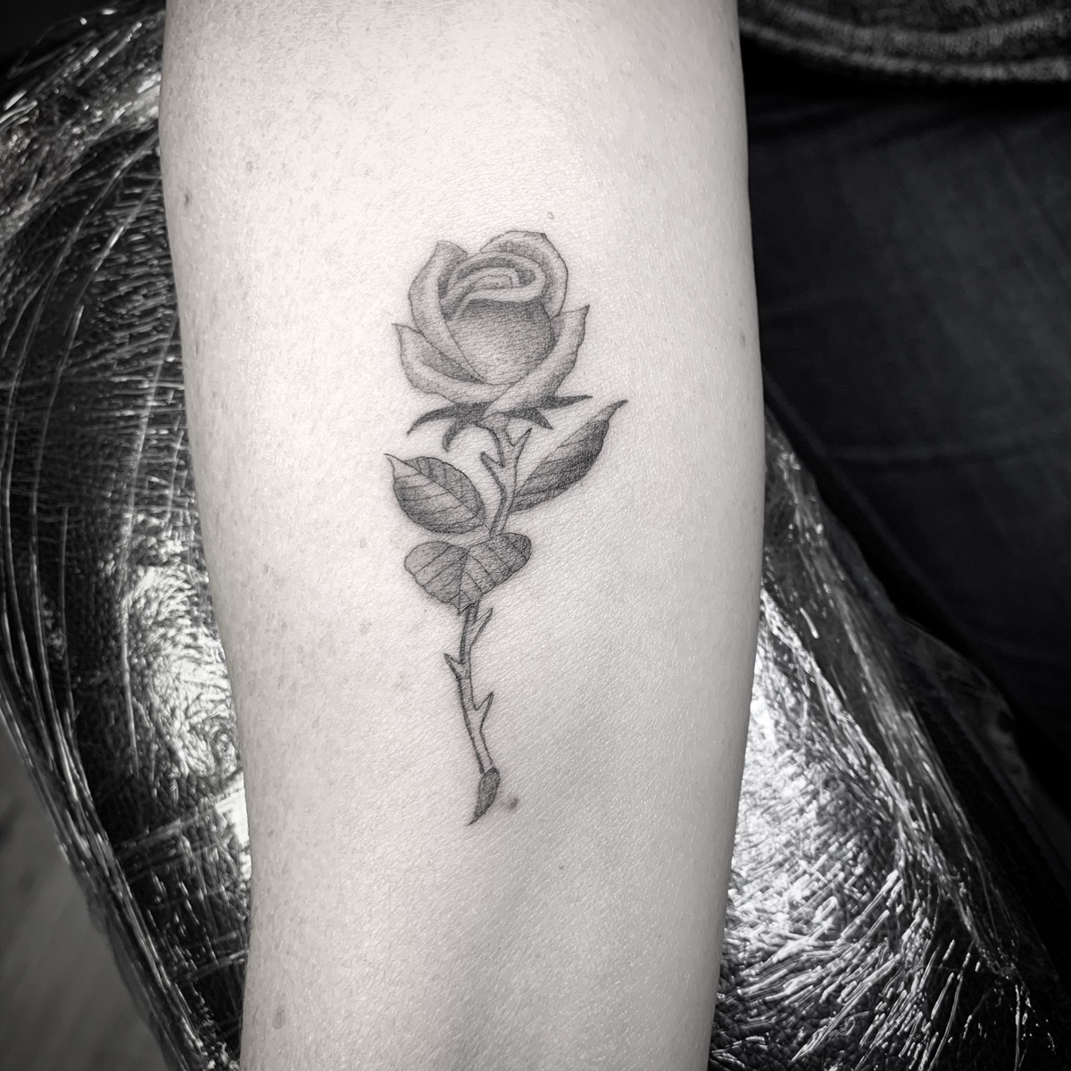 Fine line rose — tattoo by Scott Denhalter