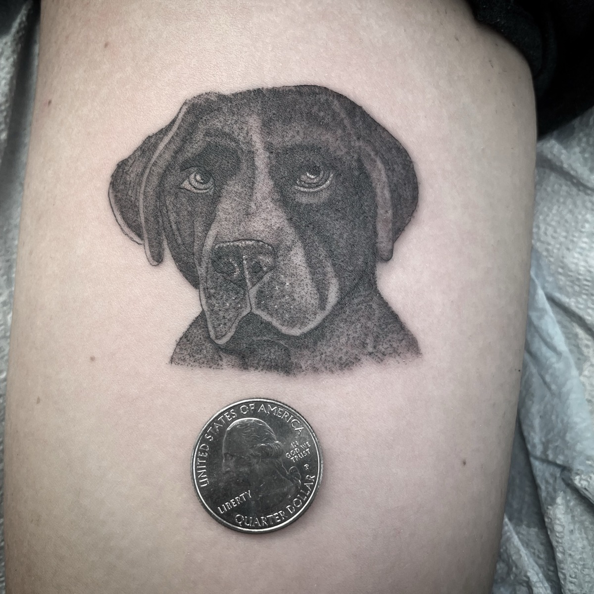 Miniature dog portrait — tattoo by Scott Denhalter
